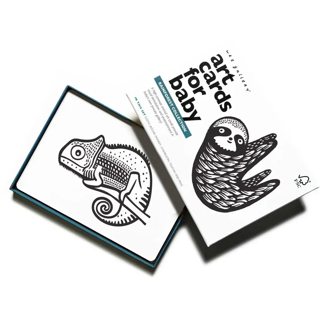 Art Cards For Baby - Rainforest