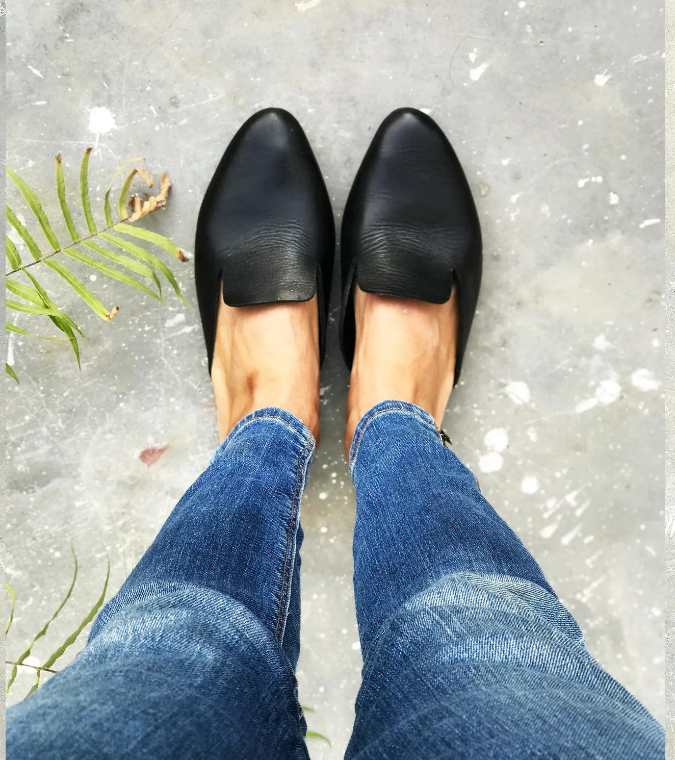 Black Mules