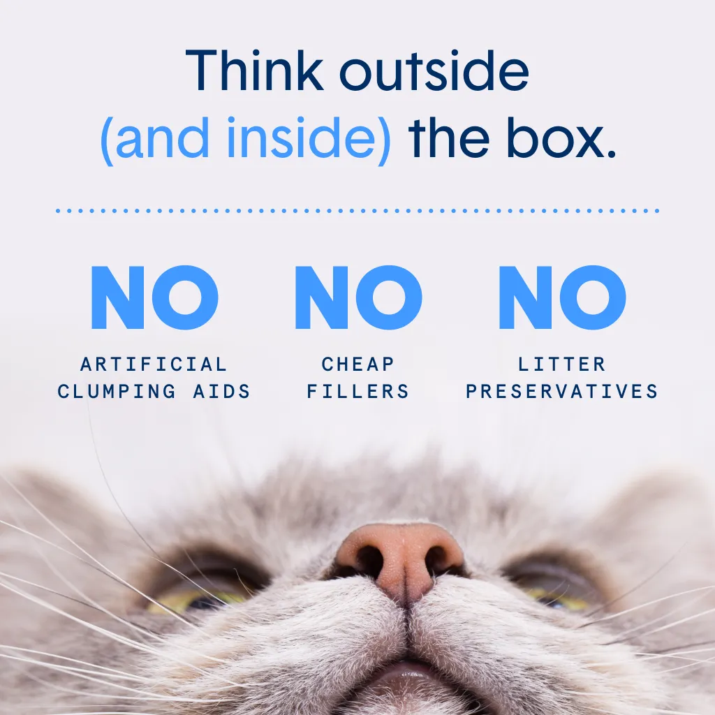 Gently Scented Lightweight Plant-Based Cat Litter