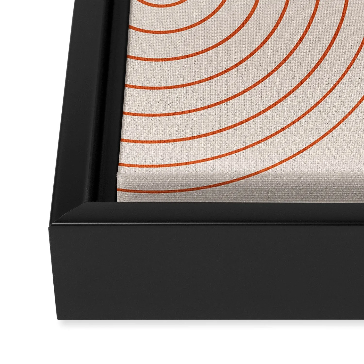 Minimal Line Curvature Coral 2 Art Canvas