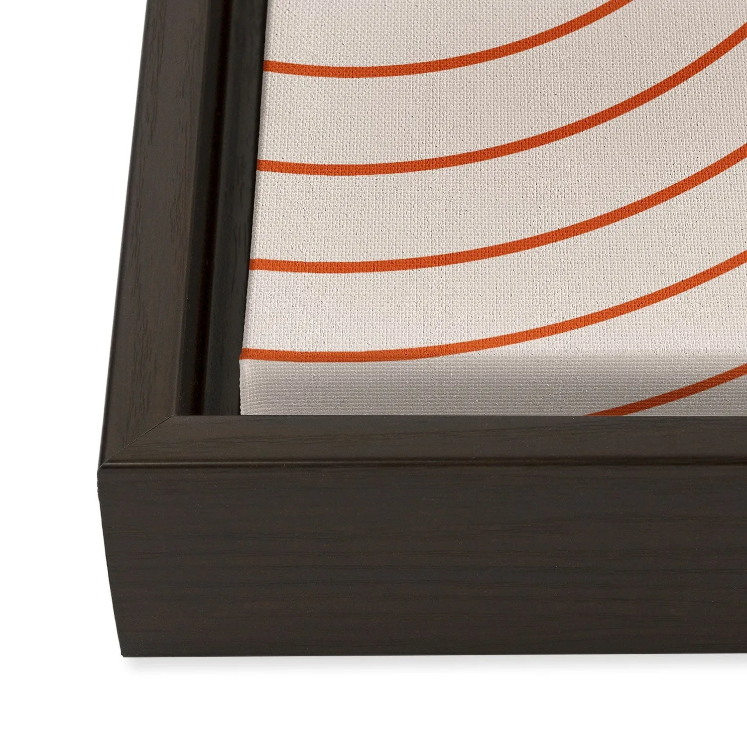 Minimal Line Curvature Coral 2 Art Canvas