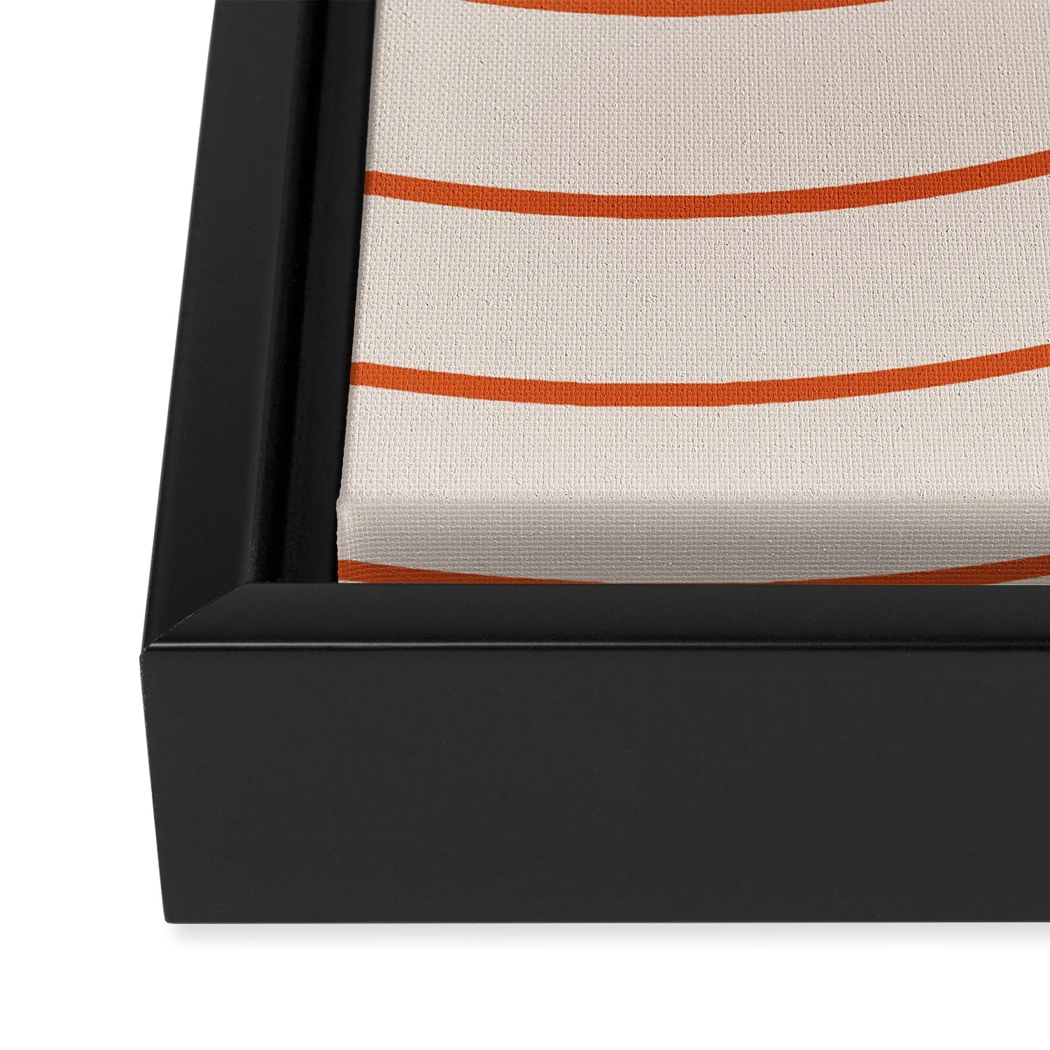 Minimal Line Curvature Coral 2 Art Canvas