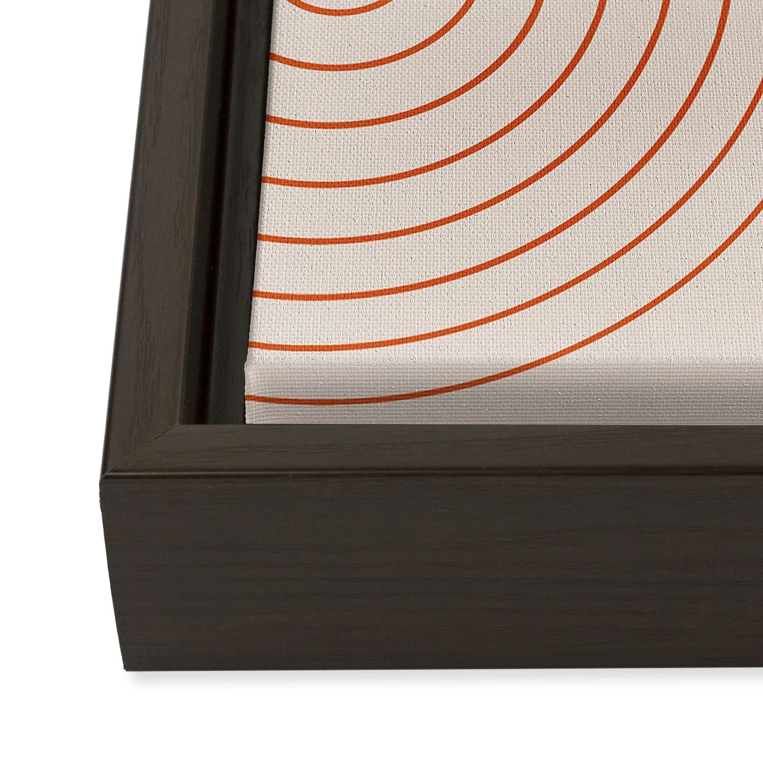 Minimal Line Curvature Coral 2 Art Canvas