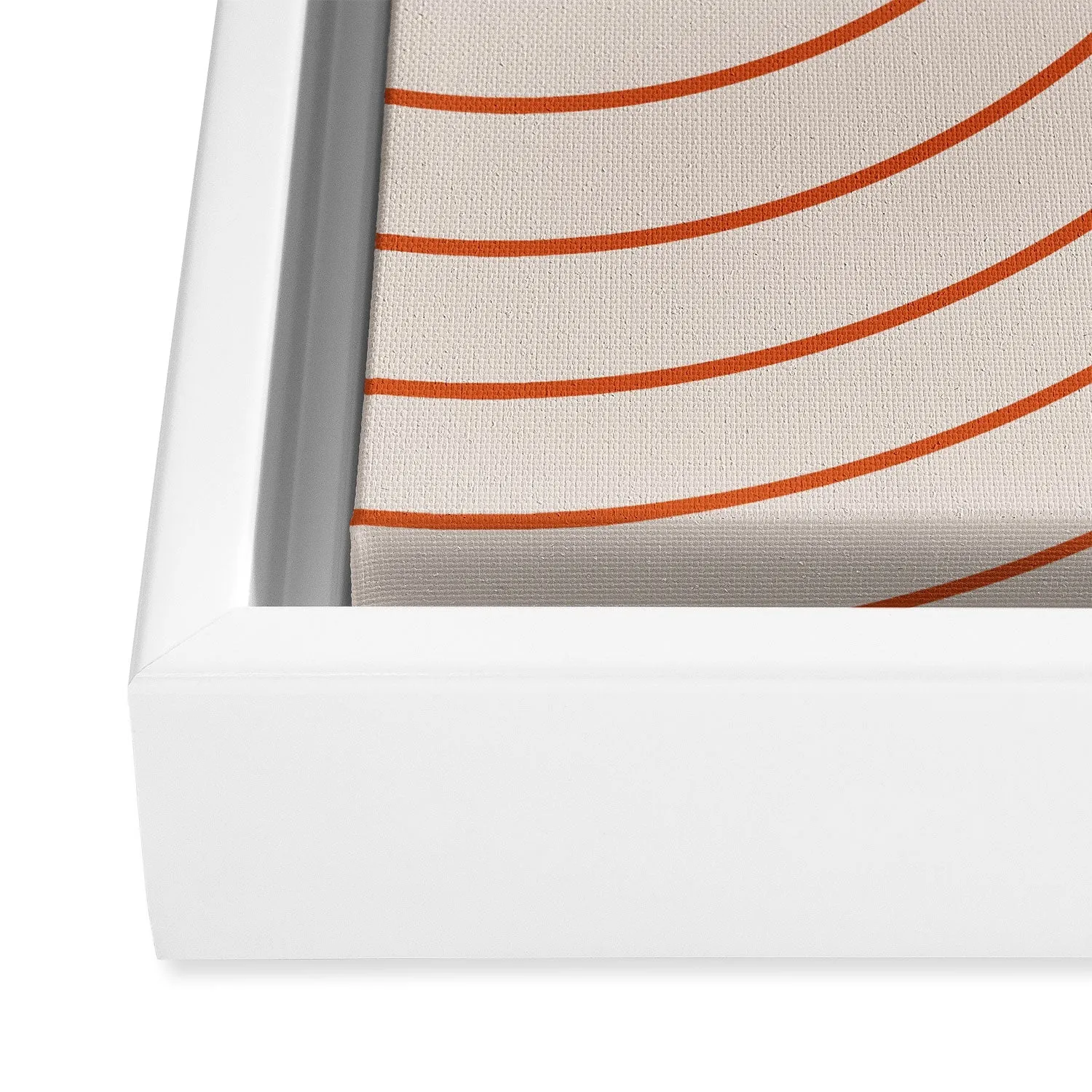 Minimal Line Curvature Coral 2 Art Canvas