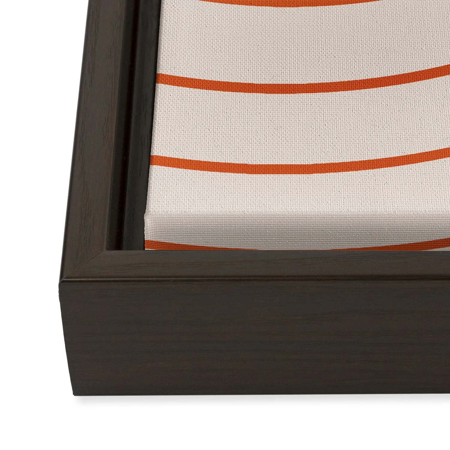 Minimal Line Curvature Coral 2 Art Canvas