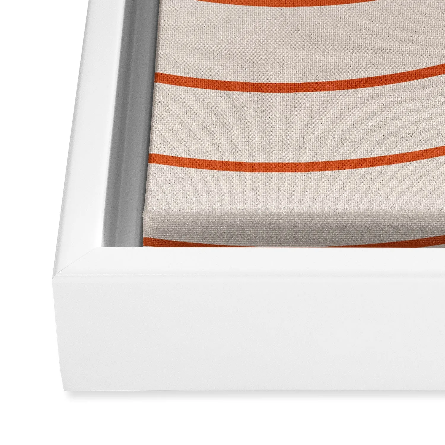 Minimal Line Curvature Coral 2 Art Canvas