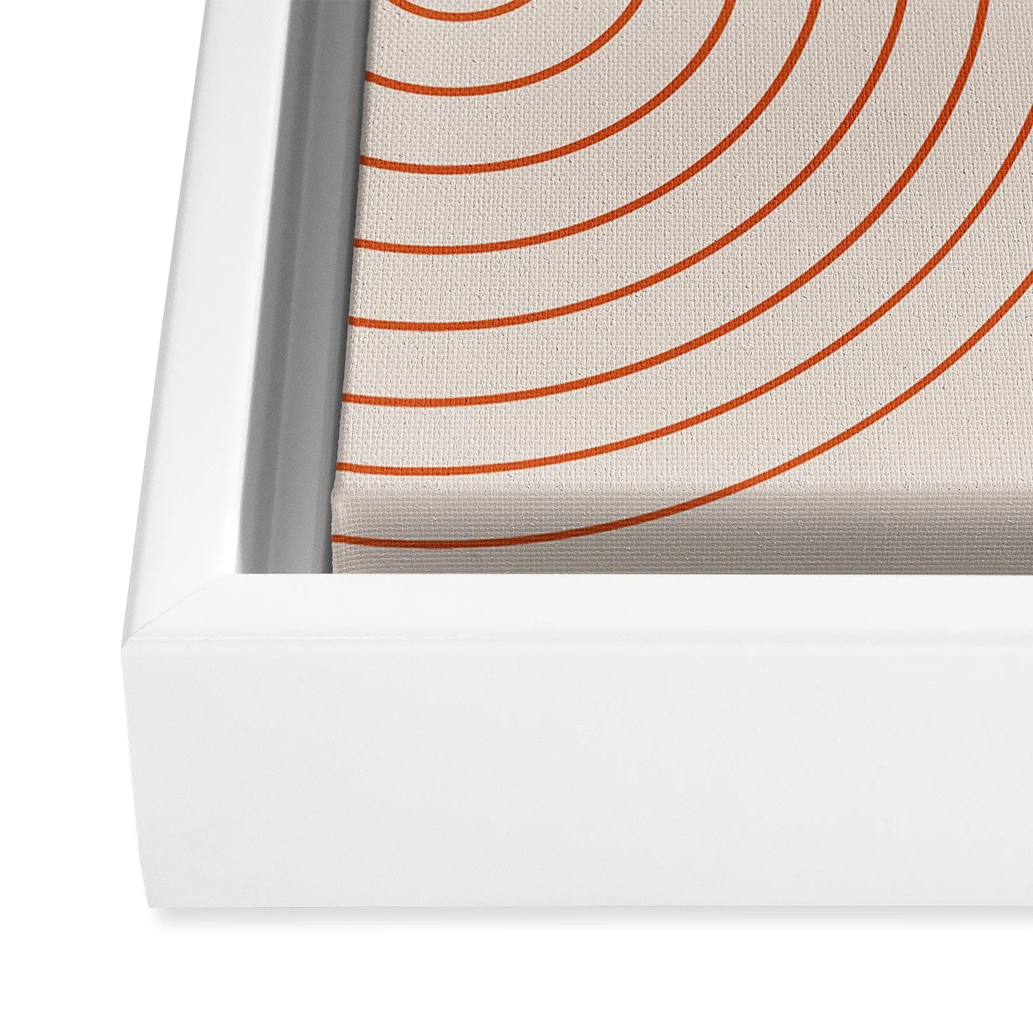 Minimal Line Curvature Coral 2 Art Canvas