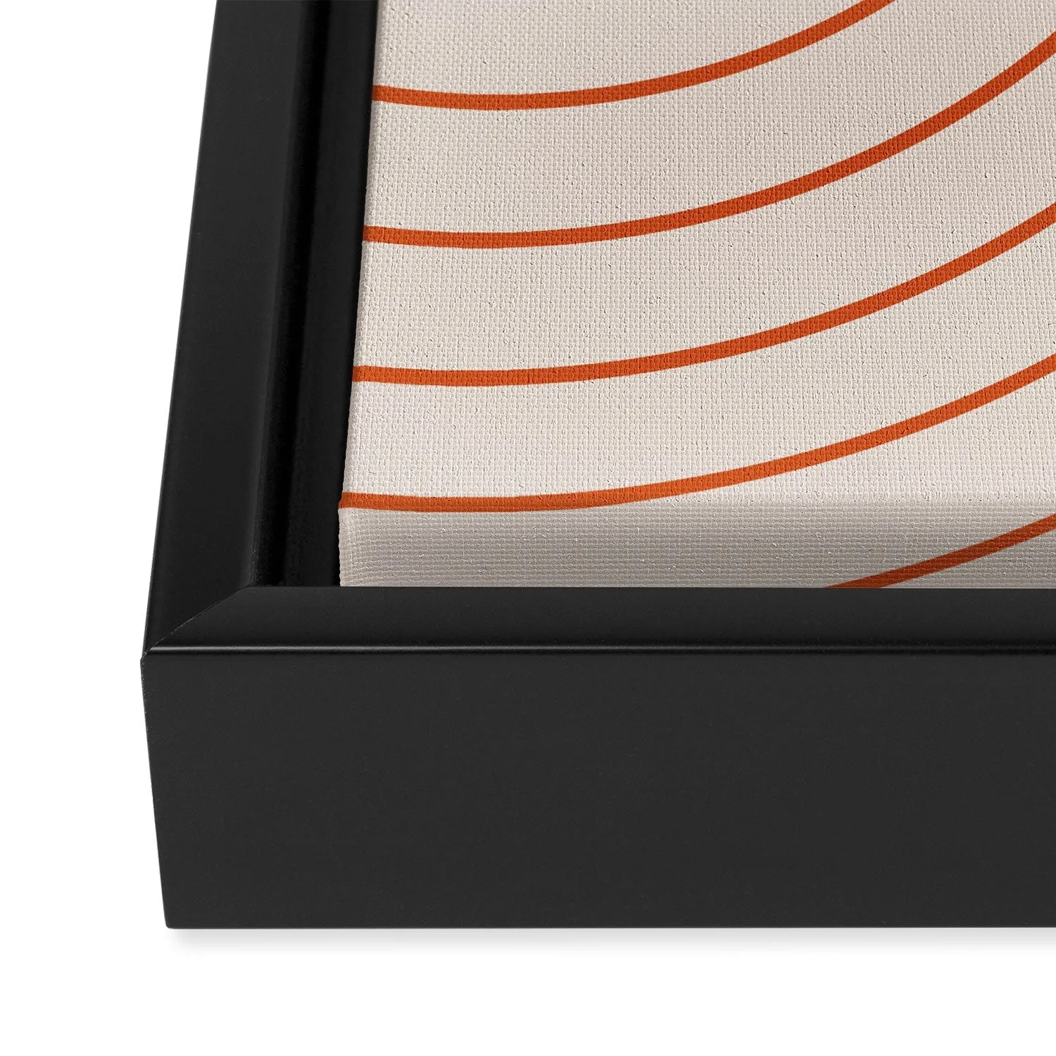 Minimal Line Curvature Coral 2 Art Canvas