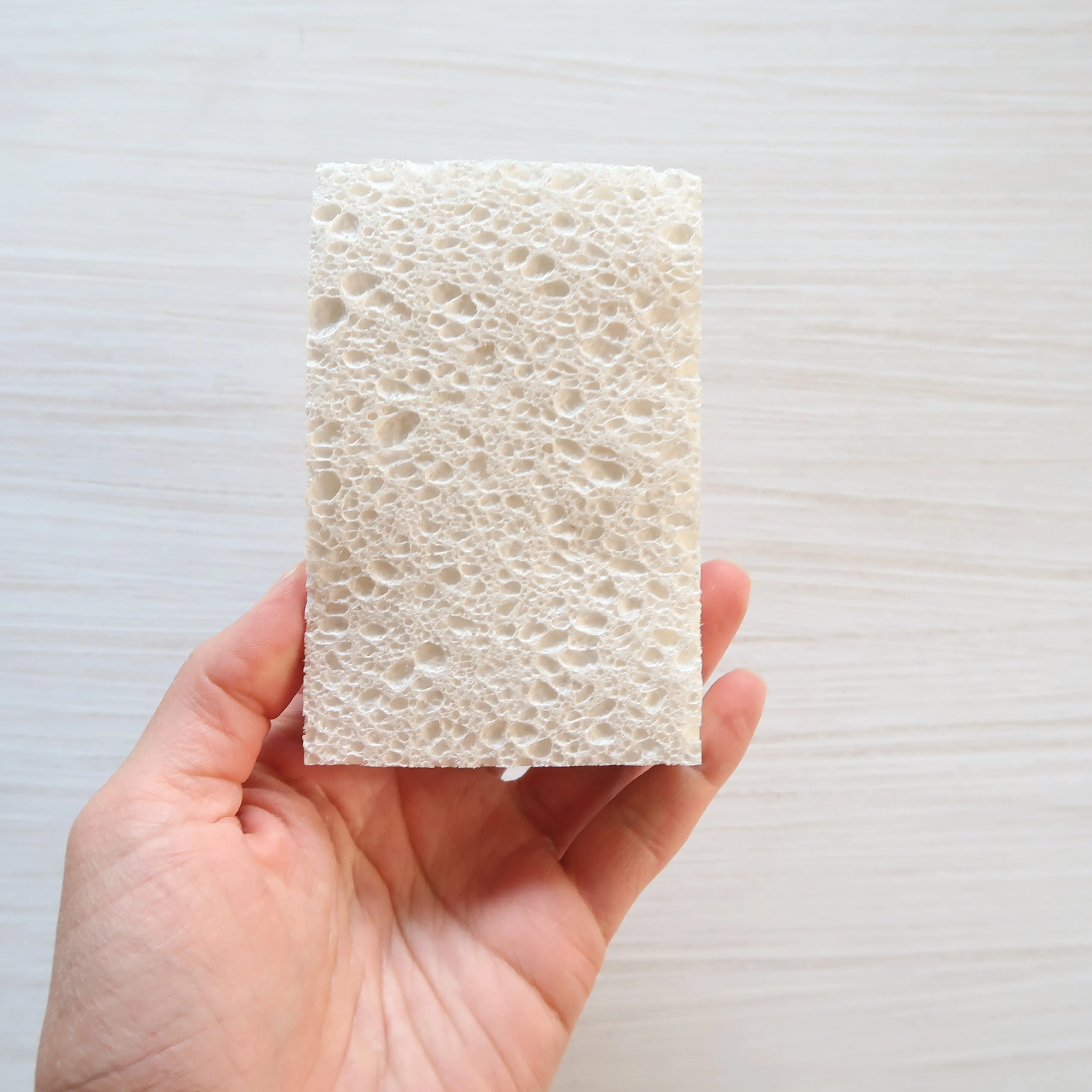 PLANTISH - ECO SPONGE