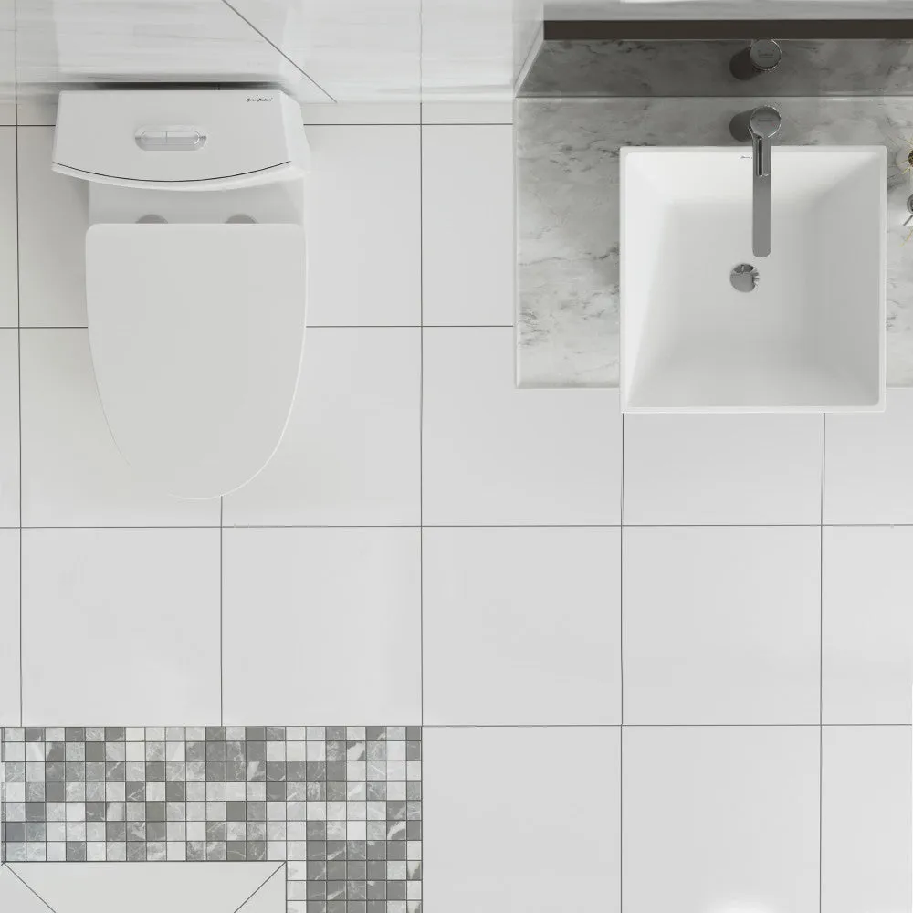 St. Tropez One Piece Elongated Toilet Dual Vortex Flush 1.1/1.6 gpf with 10" Rough In