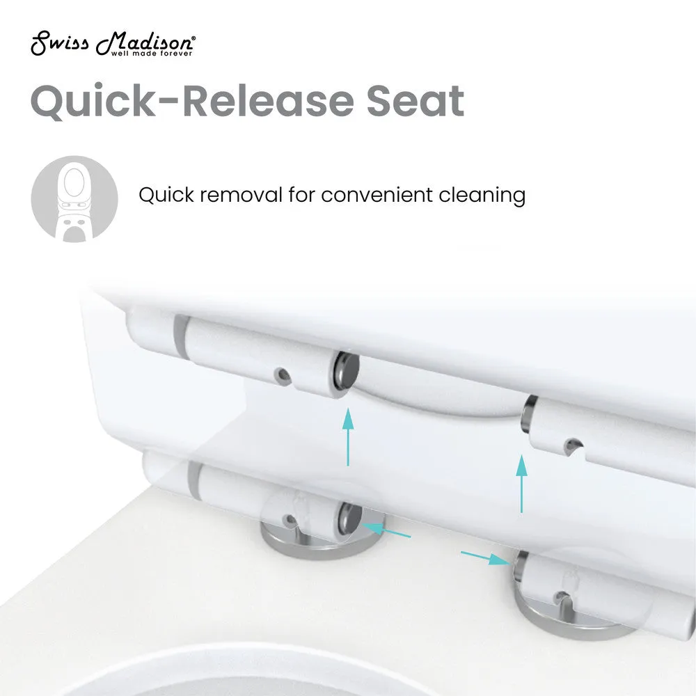 St. Tropez One Piece Elongated Toilet Dual Vortex Flush 1.1/1.6 gpf with 10" Rough In