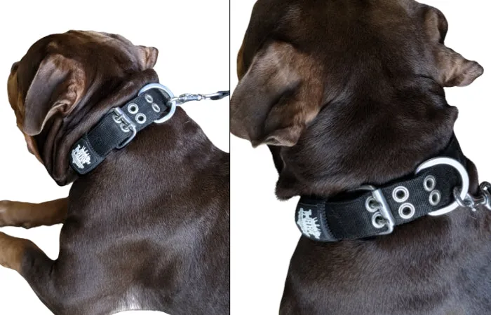 SUPATUFF® Strong Dog Collar Black (Regular Fit)