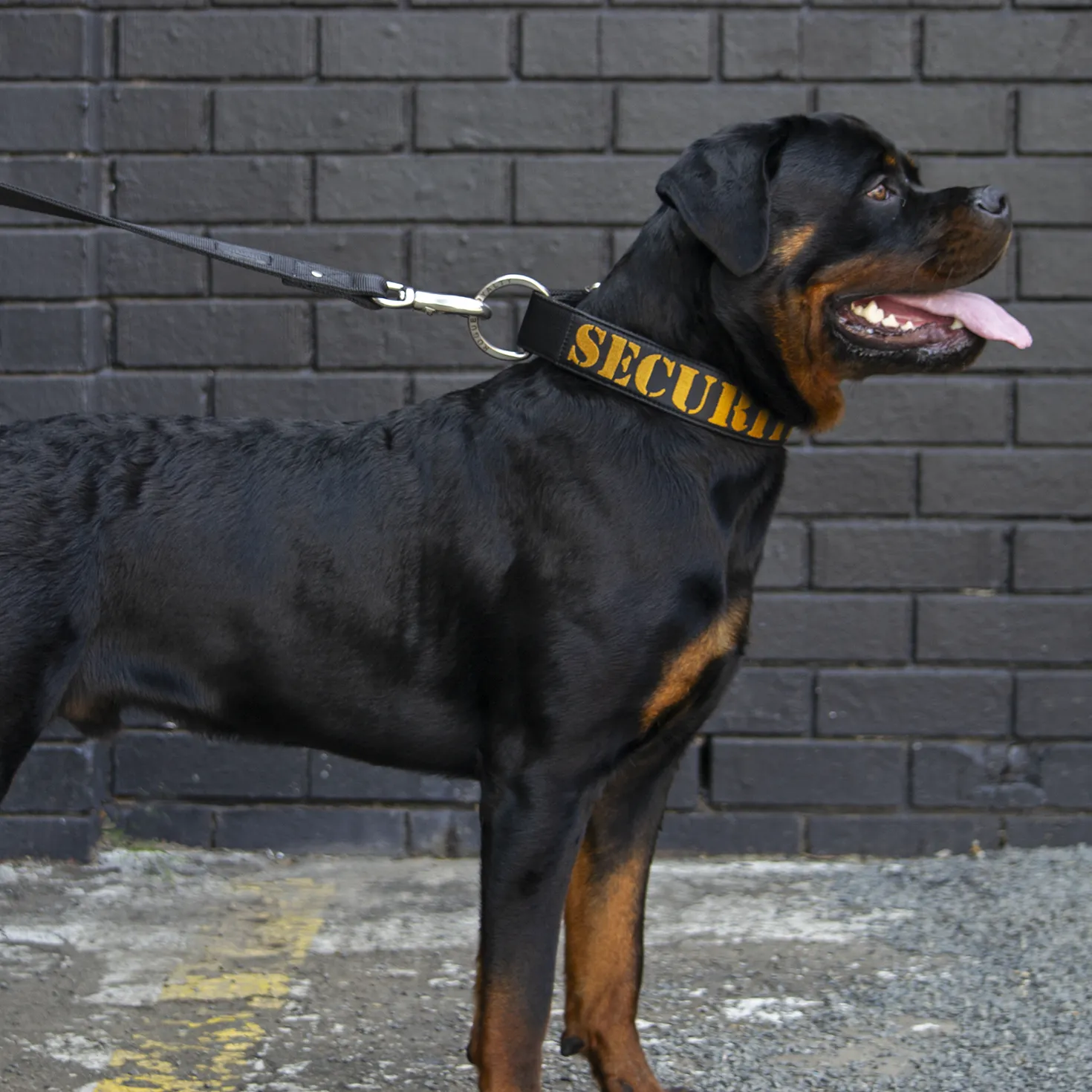 SUPATUFF® Strong Dog Collar SECURITY (Wide Fit)