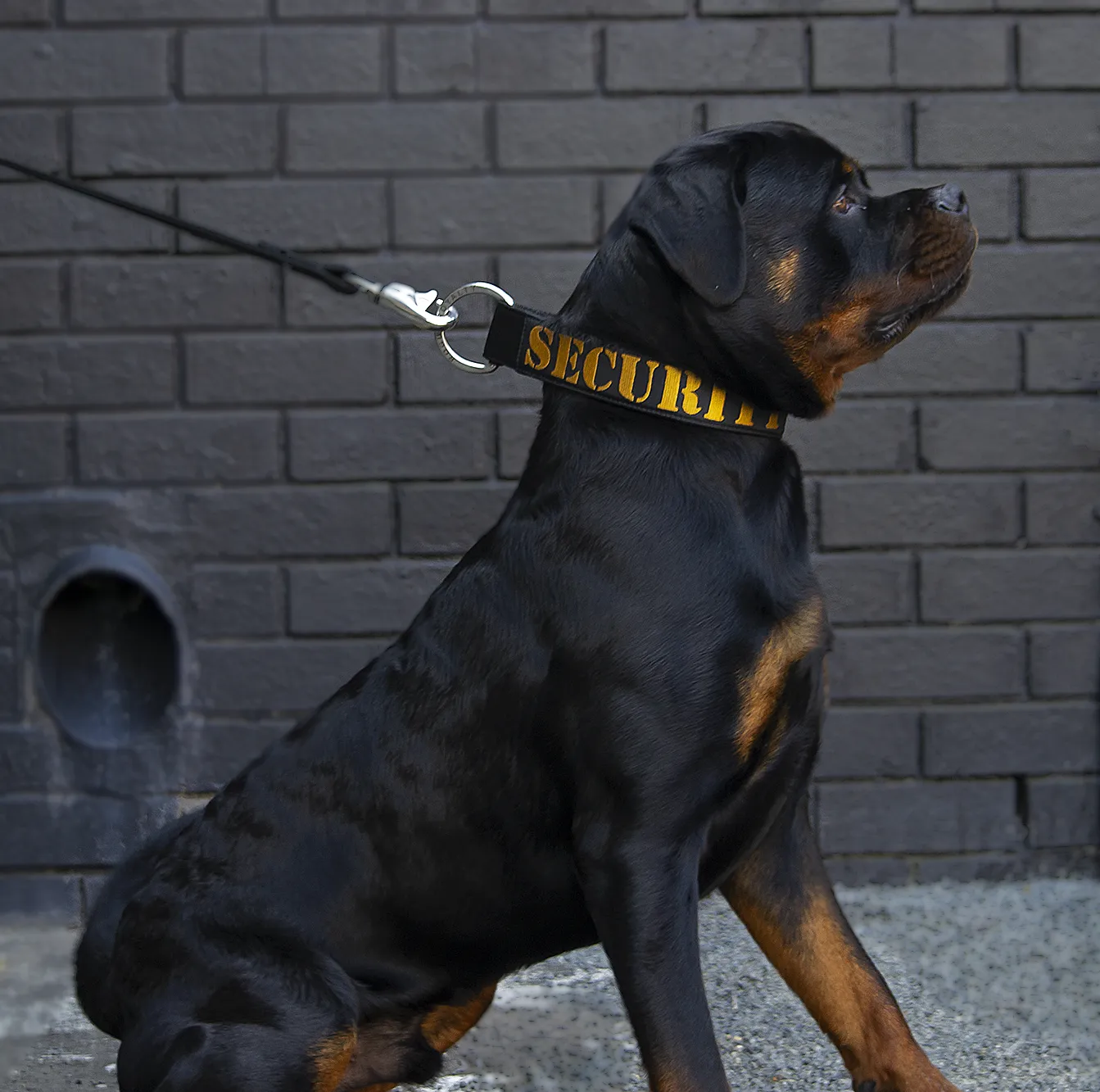 SUPATUFF® Strong Dog Collar SECURITY (Wide Fit)