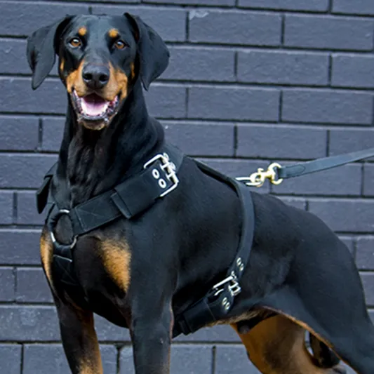 SUPATUFF® Strong Dog Harness Heavy Duty - Black