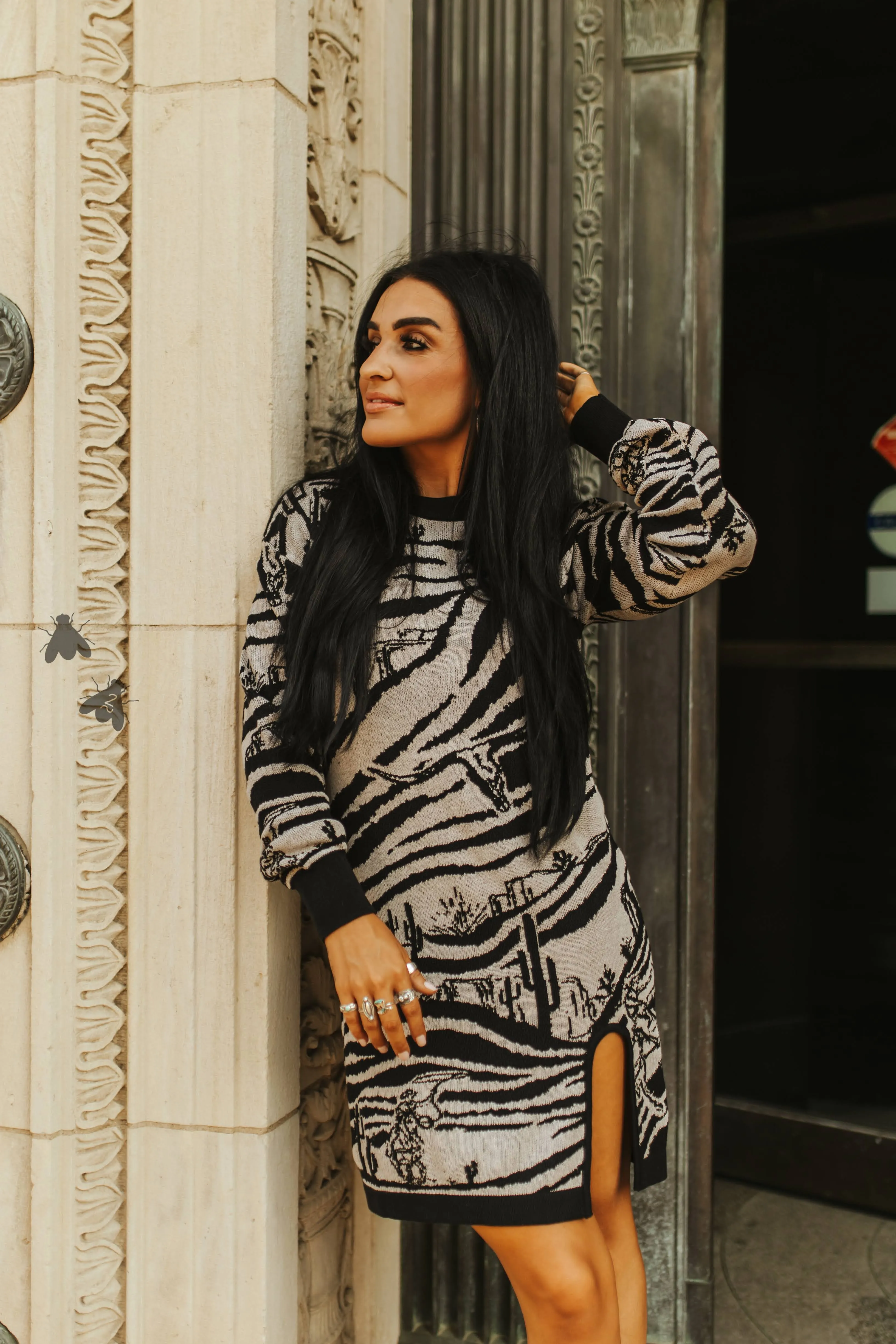 The Wild West Zoo Sweater Dress