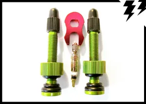 TUBELESS VALVES - 50mm